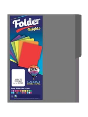 FOLDER T/CARTA GRIS INTENSO DIEM C/25